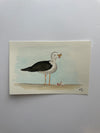 Snarky the Seagull Postcard