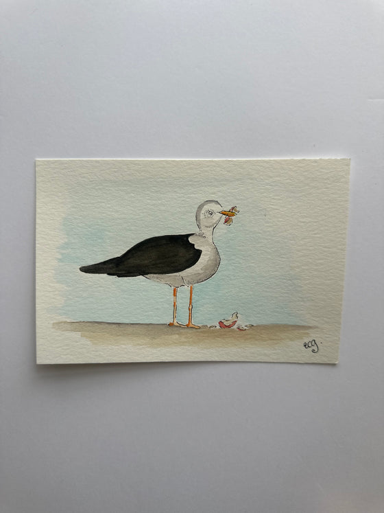 Snarky the Seagull Postcard