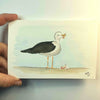 Snarky the Seagull Postcard