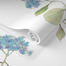  Hydrangea Blossom Wallpaper