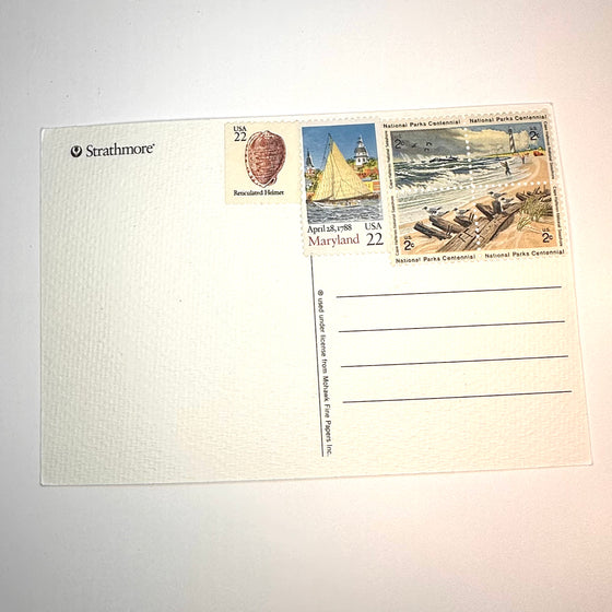 Rainbow Fleet Postcard