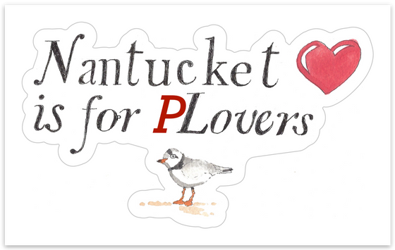 Nantucket is for Plovers Sticker